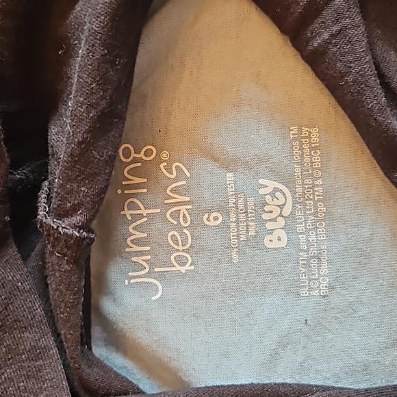 NWT Bluey Boy's Long-Sleeve Hooded T-Shirt/ Hoodie Sweatshirt with Bingo Size: 6 - Picture 3 of 6